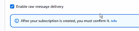 Detalle del checkbox "Enable raw message delivery" ya marcado, con el aviso de que la suscripción debe confirmarse después de creada